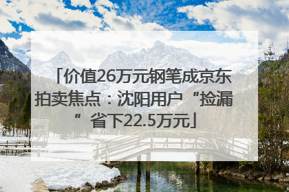 价值26万元钢笔成京东拍卖焦点：沈阳用户“捡漏”省下22.5万元