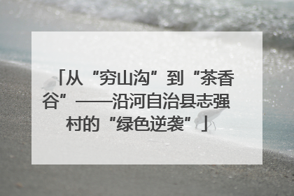 从“穷山沟”到“茶香谷”——沿河自治县志强村的“绿色逆袭”
