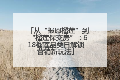 从“报恩榴莲”到“榴莲保交房”：618榴莲品类日解锁营销新玩法