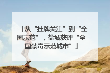 从“挂牌关注”到“全国示范”，盐城获评“全国禁毒示范城市”