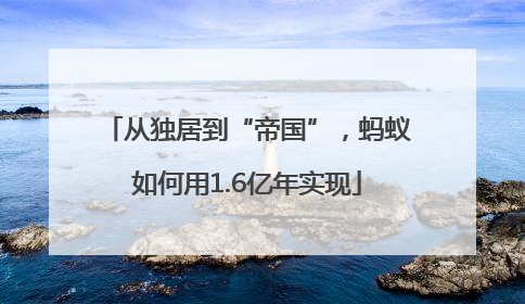 从独居到“帝国”，蚂蚁如何用1.6亿年实现