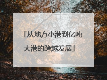 从地方小港到亿吨大港的跨越发展