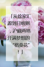 从徐家汇源到日喀则，沪藏两地开满梦想的“格桑花”！