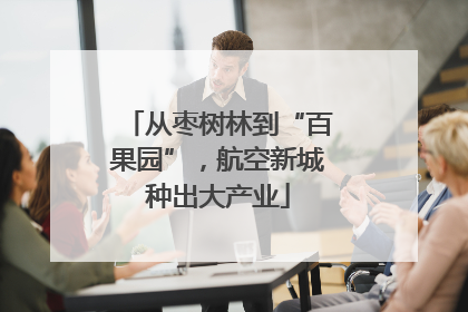 从枣树林到“百果园”，航空新城种出大产业