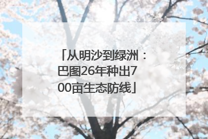 从明沙到绿洲：巴图26年种出700亩生态防线