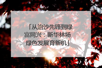 从治沙先锋到绿富同兴：新华林场绿色发展育新机