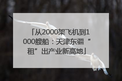 从2000架飞机到1000艘船：天津东疆“租”出产业新高地