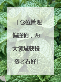 仓位管理偏谨慎，两大领域获投资者看好