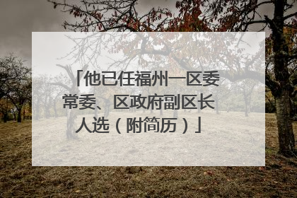 他已任福州一区委常委、区政府副区长人选（附简历）