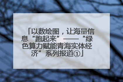 以数绘图，让海量信息“跑起来”——“绿色算力赋能青海实体经济”系列报道①