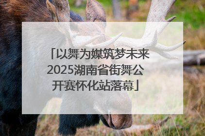 以舞为媒筑梦未来 2025湖南省街舞公开赛怀化站落幕