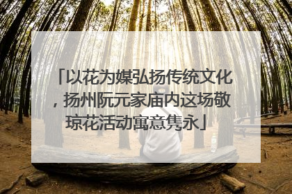 以花为媒弘扬传统文化，扬州阮元家庙内这场敬琼花活动寓意隽永