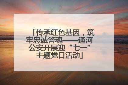 传承红色基因，筑牢忠诚警魂——通河公安开展迎“七一”主题党日活动