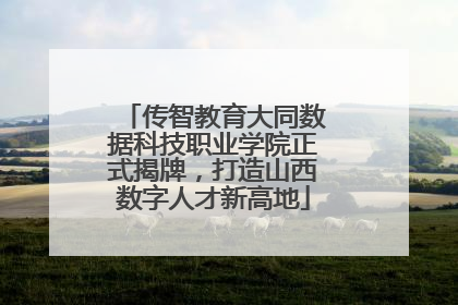 传智教育大同数据科技职业学院正式揭牌，打造山西数字人才新高地