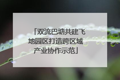 双流巴塘共建飞地园区打造跨区域产业协作示范