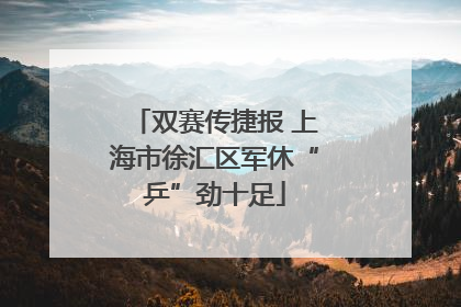 双赛传捷报 上海市徐汇区军休“乒”劲十足