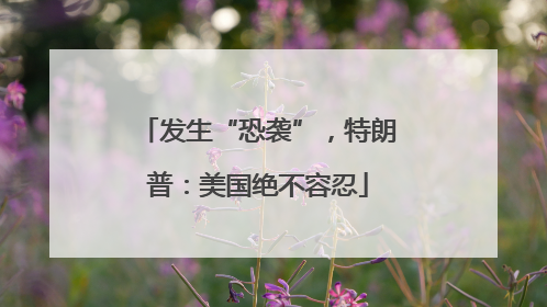 发生“恐袭”，特朗普：美国绝不容忍