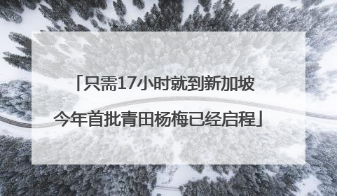 只需17小时就到新加坡 今年首批青田杨梅已经启程