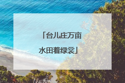 台儿庄万亩水田着绿裳