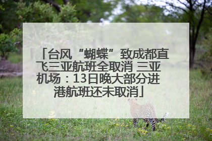 台风“蝴蝶”致成都直飞三亚航班全取消 三亚机场：13日晚大部分进港航班还未取消