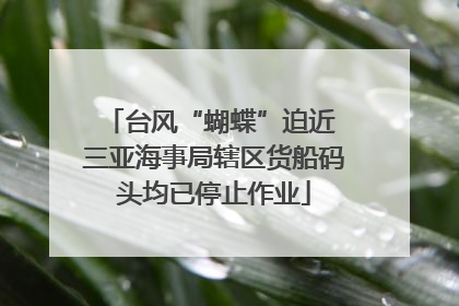 台风“蝴蝶”迫近 三亚海事局辖区货船码头均已停止作业