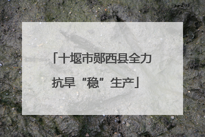 十堰市郧西县全力抗旱“稳”生产