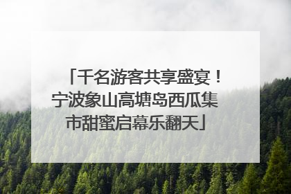 千名游客共享盛宴！宁波象山高塘岛西瓜集市甜蜜启幕乐翻天
