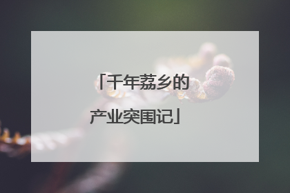 千年荔乡的产业突围记