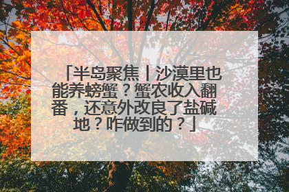 半岛聚焦丨沙漠里也能养螃蟹？蟹农收入翻番，还意外改良了盐碱地？咋做到的？