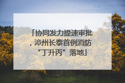协同发力提速审批，漳州长泰首例消防“丁升丙”落地