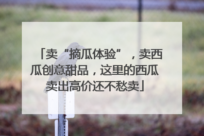 卖“摘瓜体验”，卖西瓜创意甜品，这里的西瓜卖出高价还不愁卖