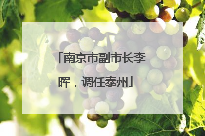 南京市副市长李晖，调任泰州