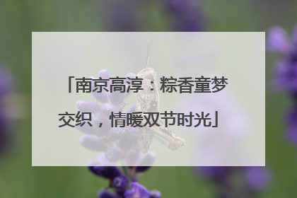南京高淳：粽香童梦交织，情暖双节时光