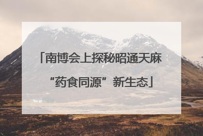 南博会上探秘昭通天麻“药食同源”新生态