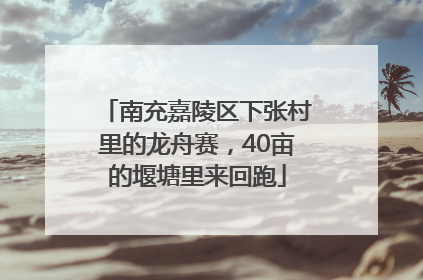 南充嘉陵区下张村里的龙舟赛，40亩的堰塘里来回跑