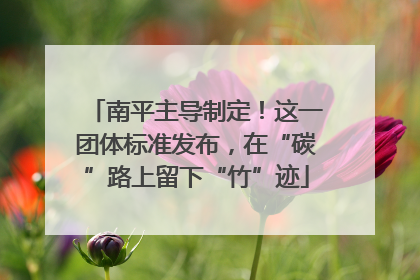 南平主导制定！这一团体标准发布，在“碳”路上留下“竹”迹