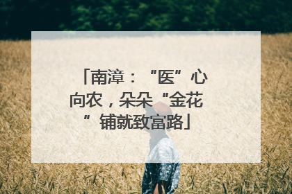 南漳：“医”心向农，朵朵“金花”铺就致富路