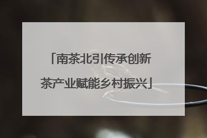 南茶北引传承创新 茶产业赋能乡村振兴