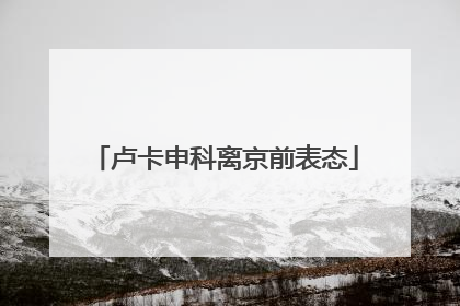 卢卡申科离京前表态