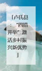 卢氏县：“四措并举”激活乡村振兴新优势