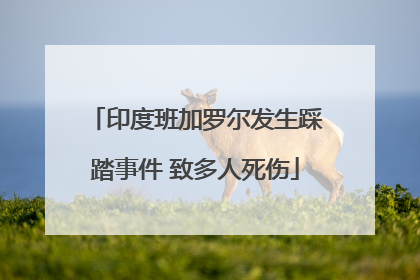 印度班加罗尔发生踩踏事件 致多人死伤