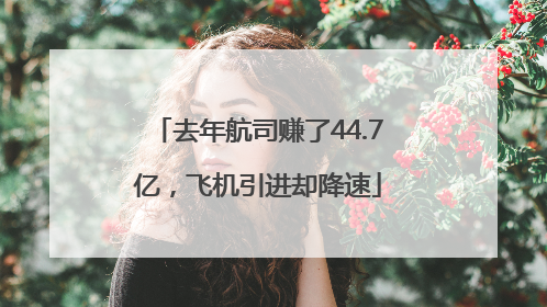 去年航司赚了44.7亿，飞机引进却降速