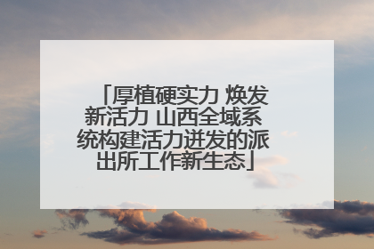 厚植硬实力 焕发新活力 山西全域系统构建活力迸发的派出所工作新生态