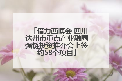 借力西博会 四川达州市重点产业融圈强链投资推介会上签约58个项目