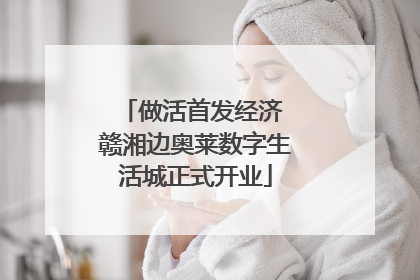 做活首发经济 赣湘边奥莱数字生活城正式开业