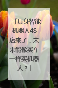 具身智能机器人4S店来了，未来能像买车一样买机器人？