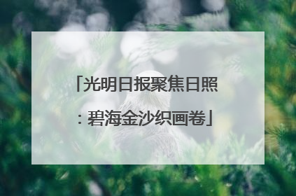 光明日报聚焦日照：碧海金沙织画卷