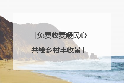 免费收麦暖民心 共绘乡村丰收景