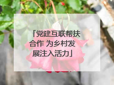 党建互联帮扶合作 为乡村发展注入活力
