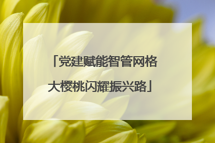 党建赋能智管网格 大樱桃闪耀振兴路